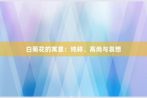 白菊花的寓意：纯碎、高尚与哀想