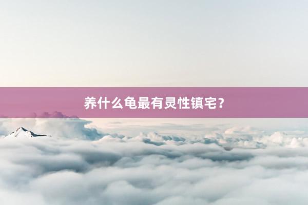 养什么龟最有灵性镇宅？